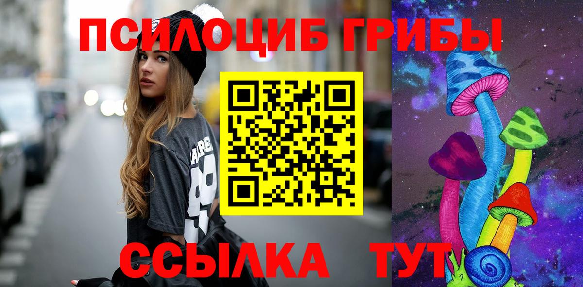 Солнечногорск  Галлюциногенные грибы прущие грибы  Вход с VPN  цены   Псилоцибиновые грибы Psilocybe 